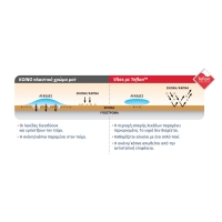 Πλαστικό χρώμα VITEX ΜΕ TEFLON 10lt 5204410816502 - ΕΣΩΤΕΡΙΚΗΣ ΕΠΙΦΑΝΕΙΑΣ στο Χρωμοδομή